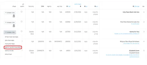 Сайт IKC: как пользоваться личным кабинетом владельца собаки