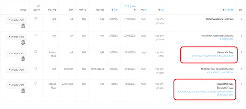 Сайт IKC: как пользоваться личным кабинетом владельца собаки