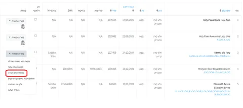 Сайт IKC: как пользоваться личным кабинетом владельца собаки