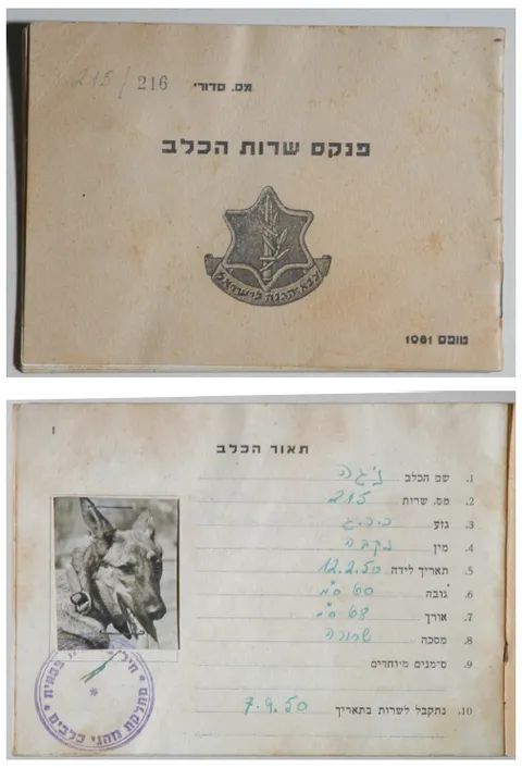 האישה שלימדה כלבים עברית: רודולפינה מנצל והולדת הקינולוגיה בישראל