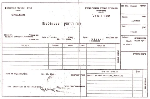 האישה שלימדה כלבים עברית: רודולפינה מנצל והולדת הקינולוגיה בישראל