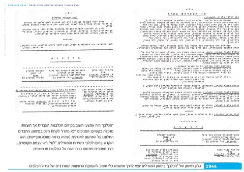 האישה שלימדה כלבים עברית: רודולפינה מנצל והולדת הקינולוגיה בישראל