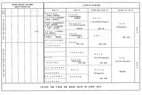 האישה שלימדה כלבים עברית: רודולפינה מנצל והולדת הקינולוגיה בישראל
