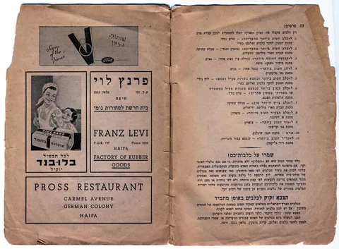 האישה שלימדה כלבים עברית: רודולפינה מנצל והולדת הקינולוגיה בישראל