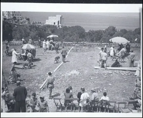 האישה שלימדה כלבים עברית: רודולפינה מנצל והולדת הקינולוגיה בישראל