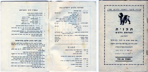 האישה שלימדה כלבים עברית: רודולפינה מנצל והולדת הקינולוגיה בישראל