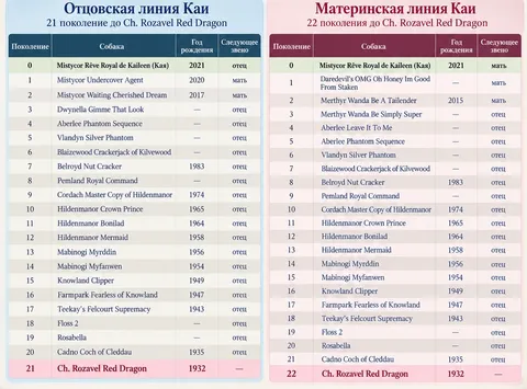 Как изменился корги за сто лет