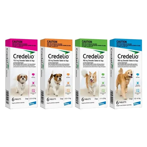 Bravecto, NexGard, Simparica and Other Flea & Tick Treatments: Which One Should You Choose?