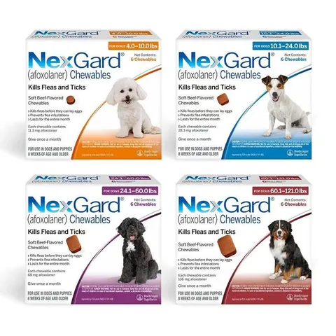 Bravecto, NexGard, Simparica and Other Flea & Tick Treatments: Which One Should You Choose?