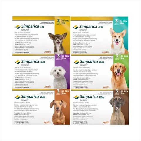 Bravecto, NexGard, Simparica and Other Flea & Tick Treatments: Which One Should You Choose?