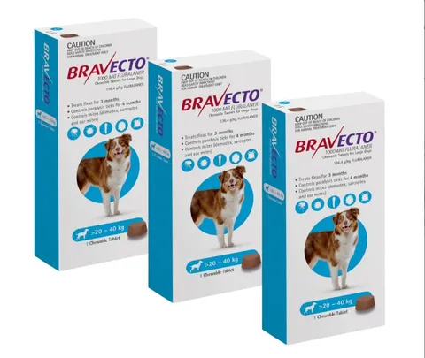 Bravecto, NexGard, Simparica and Other Flea & Tick Treatments: Which One Should You Choose?