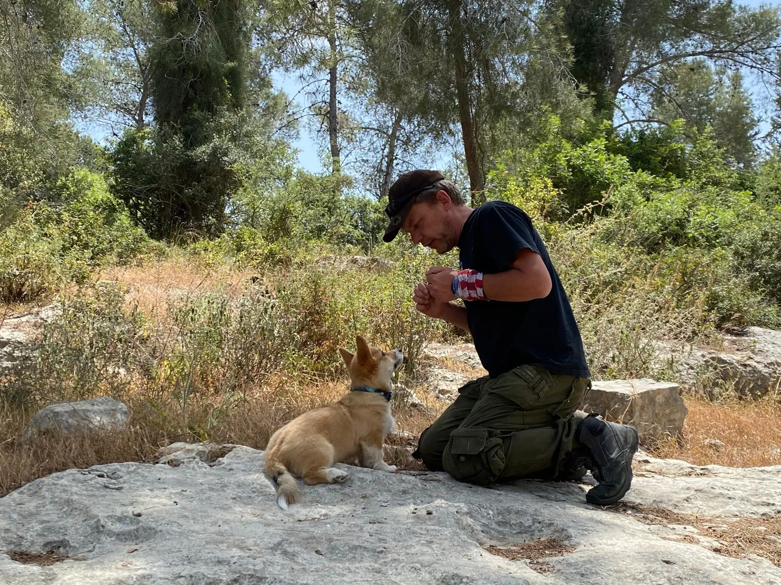 האם קורגי באמת צריך אילוף?