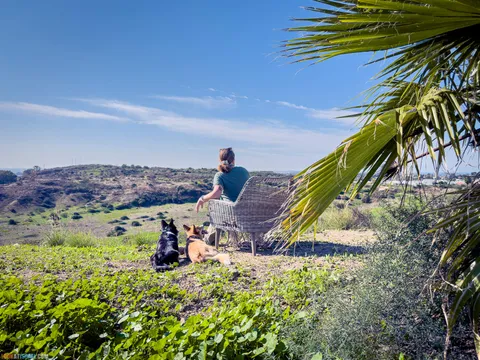 Dog Walks in Israel: 10 Corgi‑Approved Routes