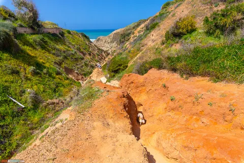 Dog Walks in Israel: 10 Corgi‑Approved Routes