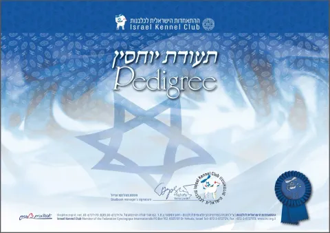 איך לקרוא תעודת יוחסין של כלב: מה אומרים התארים, הבדיקות, זיווג קרובים וכלבי רבייה