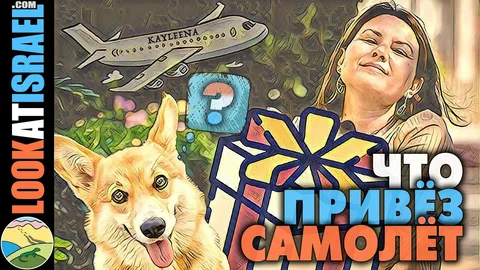 Второй корги в семье: счастье в квадрате или проблемы вдвойне?