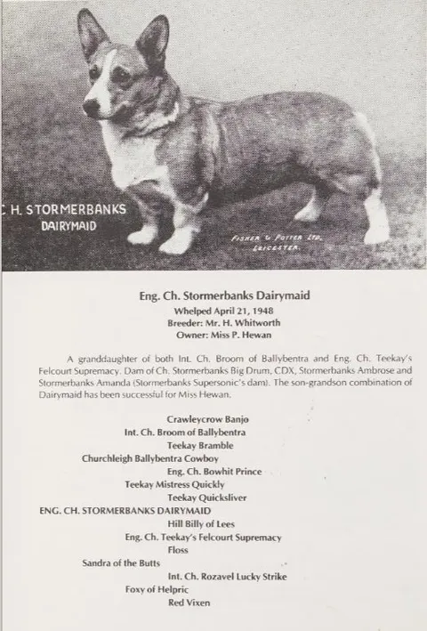 Bowhit: The Kennel at the Foundations of the Modern Pembroke Welsh Corgi