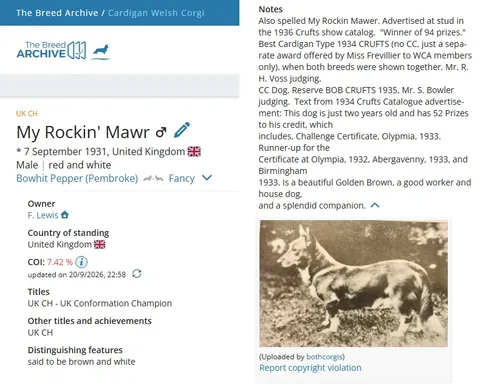 Bowhit: The Kennel at the Foundations of the Modern Pembroke Welsh Corgi