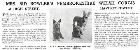 Bowhit: The Kennel at the Foundations of the Modern Pembroke Welsh Corgi