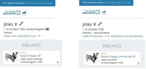 Bowhit: The Kennel at the Foundations of the Modern Pembroke Welsh Corgi