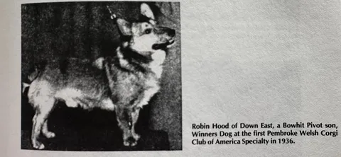 Bowhit: The Kennel at the Foundations of the Modern Pembroke Welsh Corgi