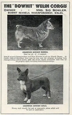 Bowhit: The Kennel at the Foundations of the Modern Pembroke Welsh Corgi