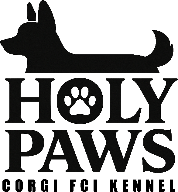 Holy Paws Logo